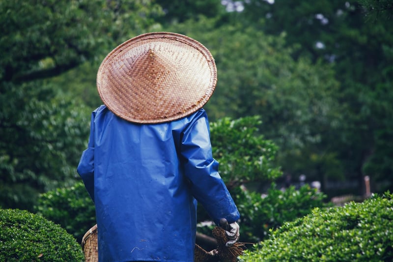 Gardening Apps