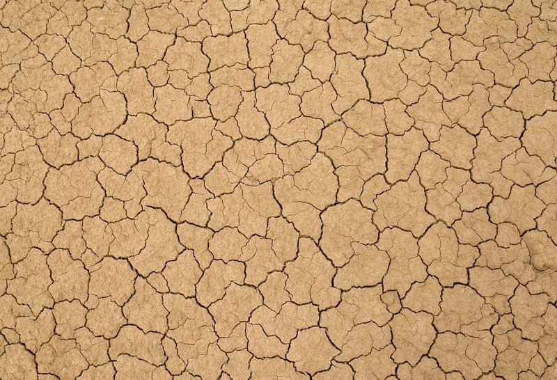 Healthy Soil